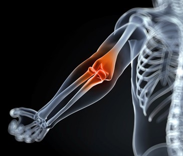 elbow