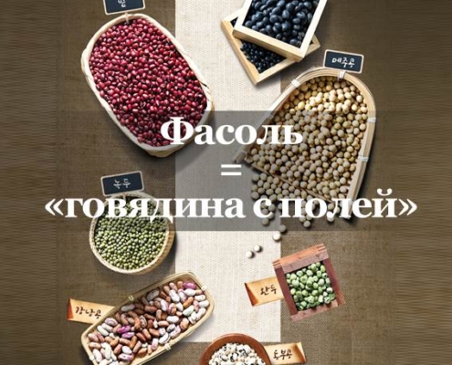 Может ли растительный белок заменить и говядину? В последнее время, по мере того как все больше и больше людей заостряют внимание на свое здоровье, растет интерес к альтернативному мясу на растительной основе - «соевому мясу». Соевый текстурат (бобовое/соевое мясо), воспроизводящее текстуру и сочность натурального мяса, на самом деле уже давно имеет огромную популярность в восточных странах. Соевое мясо - важный ингредиент, восполняющий дефицит белка, которого не хватает человеческому организму. Если это так, тогда чем соевое мясо отличается по питательности от настоящего? Можно ли заменить им говядину, как следует из его названия? Фасоль = «говядина с полей» Соя - основной ингредиент соевого мяса, его также именуют «говядиной с полей». Соевые бобы содержат много белка и они так же питательны, как и говядина. Известно, что соевый белок и изофлавоны превосходно предотвращают остеопороз. Особенно изофлавоны обладают свойствами, аналогичными женскому гормону эстрогену, поэтому они эффективны для облегчения симптомов менопаузы у женщин и поддержания гормонального баланса. В отличие от мяса, соевые бобы содержат ненасыщенные жирные кислоты, которые помогают снизить уровень холестерина и кровяное давление, предотвращая сердечно-сосудистые заболевания. Еще одна причина, по которой соя хороша, заключается в том, что она не повышает гликемический индекс, в отличие от других зерновых культур. Кроме того, соевые бобы богаты клетчаткой, которой нет в говядине, что снижает риск ожирения. Поскольку соя богата питательными веществами и содержит мало калорий и жиров, соевые бобы являются хорошей диетической пищей и могут быть хорошим вариантом для пациентов с диабетом, которым необходимо соблюдать режим питания. Эффективность «фасоли» в корейской традиционной медицине Соевые бобы имеют гладкую природу, питают внутренние органы и помогают кровообращению в организме. Черные соевые бобы настолько питательны, что их применяют в лечебных целях. Черная фасоль улучшает отток мочи и снимает отек, благодаря этому их используют при заболеваниях почек. Кроме того, соя обладает действием, восполняющим недостаток энергии, поэтому его применяют для лечения женских заболеваний и симптомов ослабления костей после менопаузы. Во времена династии Чосон ученый школы «сильхак» Иик выразил важность соевых бобов: «Соя - одно из пяти злаков, но люди их не ценят. И если зерновые культуры спасают людей, тогда сила соевых бобов самая великая!». Однако соевые бобы трудно перевариваются, если их есть в сыром виде, поэтому их лучше употреблять приготовленными. В частности, при употреблении в пищу тофу или соевого молока усвояемость самая высокая. Какими бы питательными ни были соевые бобы, будьте осторожны, если вы съедите их в большом количестве, у вас могут появиться скопление выделений и вы можете набрать излишний вес, поэтому употребляйте в умеренных количествах.