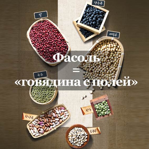 Может ли растительный белок заменить и говядину? В последнее время, по мере того как все больше и больше людей заостряют внимание на свое здоровье, растет интерес к альтернативному мясу на растительной основе - «соевому мясу». Соевый текстурат (бобовое/соевое мясо), воспроизводящее текстуру и сочность натурального мяса, на самом деле уже давно имеет огромную популярность в восточных странах. Соевое мясо - важный ингредиент, восполняющий дефицит белка, которого не хватает человеческому организму. Если это так, тогда чем соевое мясо отличается по питательности от настоящего? Можно ли заменить им говядину, как следует из его названия? Фасоль = «говядина с полей» Соя - основной ингредиент соевого мяса, его также именуют «говядиной с полей». Соевые бобы содержат много белка и они так же питательны, как и говядина. Известно, что соевый белок и изофлавоны превосходно предотвращают остеопороз. Особенно изофлавоны обладают свойствами, аналогичными женскому гормону эстрогену, поэтому они эффективны для облегчения симптомов менопаузы у женщин и поддержания гормонального баланса. В отличие от мяса, соевые бобы содержат ненасыщенные жирные кислоты, которые помогают снизить уровень холестерина и кровяное давление, предотвращая сердечно-сосудистые заболевания. Еще одна причина, по которой соя хороша, заключается в том, что она не повышает гликемический индекс, в отличие от других зерновых культур. Кроме того, соевые бобы богаты клетчаткой, которой нет в говядине, что снижает риск ожирения. Поскольку соя богата питательными веществами и содержит мало калорий и жиров, соевые бобы являются хорошей диетической пищей и могут быть хорошим вариантом для пациентов с диабетом, которым необходимо соблюдать режим питания. Эффективность «фасоли» в корейской традиционной медицине Соевые бобы имеют гладкую природу, питают внутренние органы и помогают кровообращению в организме. Черные соевые бобы настолько питательны, что их применяют в лечебных целях. Черная фасоль улучшает отток мочи и снимает отек, благодаря этому их используют при заболеваниях почек. Кроме того, соя обладает действием, восполняющим недостаток энергии, поэтому его применяют для лечения женских заболеваний и симптомов ослабления костей после менопаузы. Во времена династии Чосон ученый школы «сильхак» Иик выразил важность соевых бобов: «Соя - одно из пяти злаков, но люди их не ценят. И если зерновые культуры спасают людей, тогда сила соевых бобов самая великая!». Однако соевые бобы трудно перевариваются, если их есть в сыром виде, поэтому их лучше употреблять приготовленными. В частности, при употреблении в пищу тофу или соевого молока усвояемость самая высокая. Какими бы питательными ни были соевые бобы, будьте осторожны, если вы съедите их в большом количестве, у вас могут появиться скопление выделений и вы можете набрать излишний вес, поэтому употребляйте в умеренных количествах.