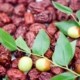 В Южной Корее любой традиционный праздник и национальные блюда практически не обходятся без плодов китайской финиковой пальмы, а именно – китайских фиников (ююба). Китайские финики наряду с такими фруктами, как персики, сливы, абрикосы и плоды каштана, относятся к 5 важным фруктам и считаются драгоценными плодами. Как известно, китайские финики выращивают со времен короля Мёнджон из династии Корё, плоды обладают изумительным ароматом и вкусом, а также уникальными целебными свойствами, поэтому они являлись одним из основных продуктов питания у самого императора. Китайские финики можно употреблять как в сыром виде, так и в сушенном. В современном мире плоды ююбы применяют не только в основных национальных блюдах, но также из них готовят ароматные чаи, сладости, джемы, настойки, даже вина и другие алкогольные напитки. Китайские финики мягкие, сладкие и приятные на вкус, не содержат ядовитых веществ, благодаря чему легко воспринимаются организмом, обладают целебными свойствами для защиты важных внутренних органов. Длительное употребление плодов ююбы улучшают цвет лица, пищеварение и даже обладают противостареющим эффектом. В корейской традиционной медицине плоды китайского финика - драгоценный лекарственный ингредиент, который восполняет энергию «инь», недостаток энергии и бодрости в крови. В частности, китайский финик гармонизирует функцию слабых свойств других лекарственных трав и уменьшает их токсичность, что выполняет немаловажную роль в составе лекарственных препаратов. Кроме того, китайский финик способствует повышению функции пищеварения, помогает укрепить иммунную систему, питая пять важных органов человеческого организма. Плоды ююба по своей природе являются теплым продуктом, поэтому оказывают огромную помощь в лечении синдрома холодных конечностей и также полезны для женщин с сильными менструальными спазмами. Особенно в осенний и зимний периоды, когда температура тела снижается из-за падения температуры воздуха, очень полезно употреблять чай из плодов ююбы. Китайский финик содержит в 50 раз больше витамина С, чем яблоки, и полезен для снятия стресса или восстановления после усталости. Можно сказать, что эти плоды – идеальный продукт во время смены сезона, когда дневная и ночная разница температур велика. Кроме того, употребление чая из плодов китайского финика перед сном поможет вам хорошо высыпаться, поскольку он богат сапонинами, которые помогают стабилизировать разум и тело и восстанавливать силы после лечения. В отличии от другого, китайский финик содержит карокиноиды, подавляющие свободные радикалы в организме, поэтому он эффективен для предотвращения старения. При приготовлении чая из плодов ююбы или его добавлении в пищу плоды лучше всего нарезать и употреблять. Это связано с тем, что кожура китайского финика состоит из твердой клетчатки, поэтому когда вы добавляете их целиком, могут недостаточно выделиться полезные ингредиенты. Поскольку китайский финик теплый по своей природе, людям с повышенным количеством тепла в организме следует быть осторожными при употреблении плодов в большом количестве. Кроме того, плоды рекомендуется есть в сушеном виде, так как сырые могут вызвать боль в желудке.