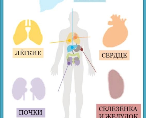 Встаньте перед зеркалом и внимательно посмотрите на себя. Если вы заметили, что у вас желтоватое лицо, есть белый налет на языке, в таком случае эти признаки символизируют о том, что с одним из пяти важных органов происходят нарушения. Наше здоровье и долголетие начинаются со здоровья пяти сильных органов нашего организма. Давайте посмотрим, каково состояние этих самых важных органов и какие привычки у нас есть, которые улучшают здоровье. Блеск в глазах - символ здоровой печени Когда в печени повышена температура и по телу чувствуется усталость, ухудшается зрение, а глаза становятся красными, будто налиты кровью. При таких симптомах избегайте употребление алкоголя и дайте своему организму хорошо отдохнуть в течение 1 недели, во время отдыха ежедневно употребляйте свежие овощные и фруктовые соки. Кашель и его обострение - позаботимся о своих легких и бронхах Когда ваши легкие и бронхи слабо функционируют, легкий кашель становится сильнее, а лицо начинает приобретать бледный цвет. В таких случаях полезно выполнять дыхательное упражнение для увеличения объема легких. Сделайте глубокий вдох и задержите дыхание на 10 секунд, затем медленно выдохните. Повторите упражнение несколько раз. Чистый язык улучшает здоровье сердца Если у вас на языке есть желтый или белый налет, либо если язык сухой, эти признаки свидетельствуют о том, что снижаются естественные силы сердца. В таком случае следует почаще пить понемного воду и употреблять в пищу продукты с горьковатым вкусом, например такой как латук зубчатый. Заболевания почек – одна из причин болей в пояснице Заболевания почек могут привести к поясничным болям, поэтому следует быть осторожным. Среди продуктов, полезных для почек, есть много продуктов исключительно черного цвета, такие как черная фасоль, черный кунжут и др. Они также полезны для предотвращения выпадения волос - симптома, сопровождающего почечную аномалию. Желтоватый цвет лица - красный сигнал для здоровья желудка и селезенки Когда появляются проблемы с желудком и селезенкой, цвет лица приобретает желтоватый оттенок. В этом случае чтобы укрепить желудок и селезенку, полезно выполнять стойку на руках вниз головой и упражнения в позе на четвереньках. Однако, помните, что упражнения нельзя выполнять сразу после еды, поскольку могут появится растройства пищеварительной системы.