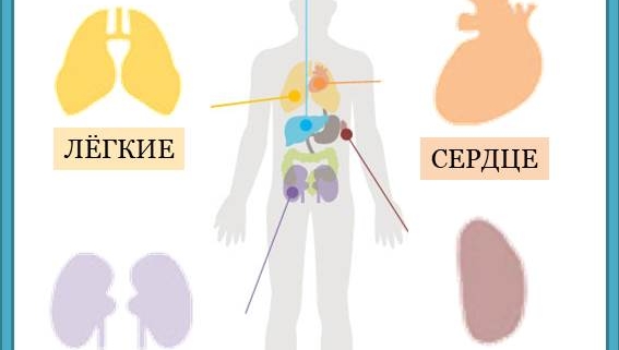 Встаньте перед зеркалом и внимательно посмотрите на себя. Если вы заметили, что у вас желтоватое лицо, есть белый налет на языке, в таком случае эти признаки символизируют о том, что с одним из пяти важных органов происходят нарушения. Наше здоровье и долголетие начинаются со здоровья пяти сильных органов нашего организма. Давайте посмотрим, каково состояние этих самых важных органов и какие привычки у нас есть, которые улучшают здоровье. Блеск в глазах - символ здоровой печени Когда в печени повышена температура и по телу чувствуется усталость, ухудшается зрение, а глаза становятся красными, будто налиты кровью. При таких симптомах избегайте употребление алкоголя и дайте своему организму хорошо отдохнуть в течение 1 недели, во время отдыха ежедневно употребляйте свежие овощные и фруктовые соки. Кашель и его обострение - позаботимся о своих легких и бронхах Когда ваши легкие и бронхи слабо функционируют, легкий кашель становится сильнее, а лицо начинает приобретать бледный цвет. В таких случаях полезно выполнять дыхательное упражнение для увеличения объема легких. Сделайте глубокий вдох и задержите дыхание на 10 секунд, затем медленно выдохните. Повторите упражнение несколько раз. Чистый язык улучшает здоровье сердца Если у вас на языке есть желтый или белый налет, либо если язык сухой, эти признаки свидетельствуют о том, что снижаются естественные силы сердца. В таком случае следует почаще пить понемного воду и употреблять в пищу продукты с горьковатым вкусом, например такой как латук зубчатый. Заболевания почек – одна из причин болей в пояснице Заболевания почек могут привести к поясничным болям, поэтому следует быть осторожным. Среди продуктов, полезных для почек, есть много продуктов исключительно черного цвета, такие как черная фасоль, черный кунжут и др. Они также полезны для предотвращения выпадения волос - симптома, сопровождающего почечную аномалию. Желтоватый цвет лица - красный сигнал для здоровья желудка и селезенки Когда появляются проблемы с желудком и селезенкой, цвет лица приобретает желтоватый оттенок. В этом случае чтобы укрепить желудок и селезенку, полезно выполнять стойку на руках вниз головой и упражнения в позе на четвереньках. Однако, помните, что упражнения нельзя выполнять сразу после еды, поскольку могут появится растройства пищеварительной системы.