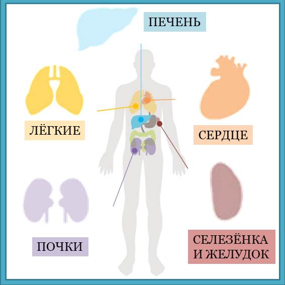 Встаньте перед зеркалом и внимательно посмотрите на себя. Если вы заметили, что у вас желтоватое лицо, есть белый налет на языке, в таком случае эти признаки символизируют о том, что с одним из пяти важных органов происходят нарушения. Наше здоровье и долголетие начинаются со здоровья пяти сильных органов нашего организма. Давайте посмотрим, каково состояние этих самых важных органов и какие привычки у нас есть, которые улучшают здоровье. Блеск в глазах - символ здоровой печени Когда в печени повышена температура и по телу чувствуется усталость, ухудшается зрение, а глаза становятся красными, будто налиты кровью. При таких симптомах избегайте употребление алкоголя и дайте своему организму хорошо отдохнуть в течение 1 недели, во время отдыха ежедневно употребляйте свежие овощные и фруктовые соки. Кашель и его обострение - позаботимся о своих легких и бронхах Когда ваши легкие и бронхи слабо функционируют, легкий кашель становится сильнее, а лицо начинает приобретать бледный цвет. В таких случаях полезно выполнять дыхательное упражнение для увеличения объема легких. Сделайте глубокий вдох и задержите дыхание на 10 секунд, затем медленно выдохните. Повторите упражнение несколько раз. Чистый язык улучшает здоровье сердца Если у вас на языке есть желтый или белый налет, либо если язык сухой, эти признаки свидетельствуют о том, что снижаются естественные силы сердца. В таком случае следует почаще пить понемного воду и употреблять в пищу продукты с горьковатым вкусом, например такой как латук зубчатый. Заболевания почек – одна из причин болей в пояснице Заболевания почек могут привести к поясничным болям, поэтому следует быть осторожным. Среди продуктов, полезных для почек, есть много продуктов исключительно черного цвета, такие как черная фасоль, черный кунжут и др. Они также полезны для предотвращения выпадения волос - симптома, сопровождающего почечную аномалию. Желтоватый цвет лица - красный сигнал для здоровья желудка и селезенки Когда появляются проблемы с желудком и селезенкой, цвет лица приобретает желтоватый оттенок. В этом случае чтобы укрепить желудок и селезенку, полезно выполнять стойку на руках вниз головой и упражнения в позе на четвереньках. Однако, помните, что упражнения нельзя выполнять сразу после еды, поскольку могут появится растройства пищеварительной системы.