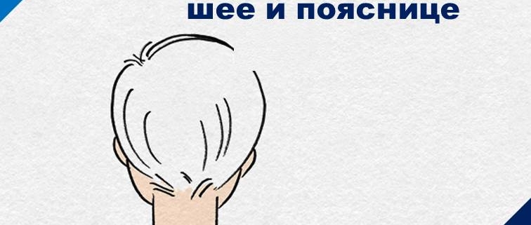 Для современных людей, которым приходится длительное время сидеть и учиться, работать за компьютером или книгами, боль в шее и плечах – одни из симптомов, которые связаны и проявляются друг за другом, словно неразрывные игла с нитью. Когда вы сосредотачиваетесь на работе или учебе, незаметно для себя, ваша шея выдвигается или склоняется вперед, а плечи постепенно становятся жесткими и скованными. Если эти симптомы вовремя не исправить, впоследствии из-за плохого кровообращения могут возникнуть головные боли, а ухудшение состояния может привести к появлению синдрому прямой шеи и межпозвонковой грыжи в шейном отделе. Задумайтесь, вы ежедневно сидите целый день за рабочим столом? Если ваш ответ «да», тогда обратите внимание на массаж акупунктурных точек, с которым мы с вами поделимся! Акупунктурные точки «кёнджонхёль» расположены в центре линии, соединяющей шейный позвонок, который выступает при наклоне головы вперед, и конец плеча. Массаж данных акупунктурных точек помогает расслабить скованную и твердую трапециевидную мышцу и способствует циркуляции потока крови и энергии в теле человека. Если надавить и массировать круговыми движениями точки «кёнджонхёль», можно уменьшить боль в плечах и шее. Массаж можно выполнять самостоятельно, либо при помощи массажного шара. А также рекомендуется принимать душ или ванну с теплой водой, либо теплые компрессы. Кроме того, если у вас проявляются болевые симптомы и вы по данной причине практически не двигаетесь, наоборот в таких случаях ваша мышечная сила снижается, поэтому обязательно выполняйте легкую растяжку или упражнения с оптимально-умеренной нагрузкой, чтобы изначально не перегружать себя.