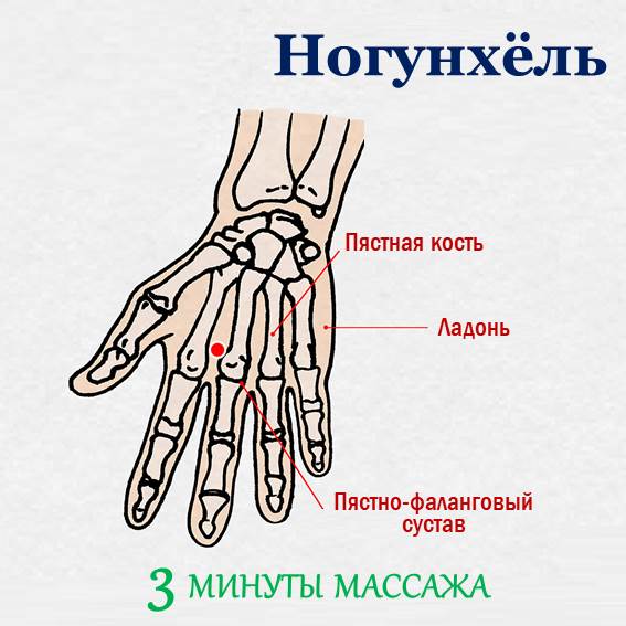 Метод точечного массажа, снимающий симптомы рассеянности Простой метод точечного массажа, который может выполнить любой человек, может оказать некоторые улучшения при рассеянности и головной боли. Расскажем о самых распространенных 3 методах точечного массажа: Ногунхёль Акупунктурная точка «ногунхёль» расположена между второй и третьей пястной кости на ладони, в месте углубления возле пястно-фалангового сустава. Если более проще объяснять, то точка «ногунхёль» находится на ладони между указательным и среднем пальцами руки. Массаж данной точки помогает избавиться от усталости, стабилизировать дух и разум, улучшить проблемы с пищеварением, вызванные стрессом и др. Когда тело и разум стабилизируются, концентрация и внимание возрастают и симптомы рассеянности могут уменьшиться. Когда вы чувствуете усталость, слегка нажмите на точку «ногунхёль» в течение примерно 30 секунд пальцем или палкой с круглым концом.