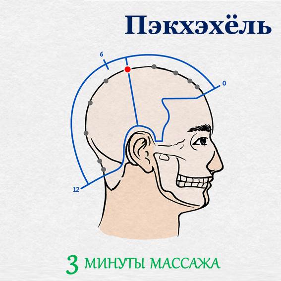 2. Пэкхэхёль «Пэкхэхёль» - акупунктурная точка расположенна по центру на средней линии головы. Если более проще сказать, то точка находится на самой макушке головы, где проходит линия, разделяющая наше тело на две половинки по вертикали. Точка «пэкхэхёль» известна тем, что в ней соединяются вены нашего организма. Массаж данной точки позволяет облегчить кровообращение в головном мозге. Кроме того, помогает облегчить головные боли и головокружение, вызванные переутомлением и стрессом.