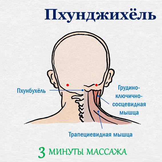3. Пхунджихёль Акупунктурная точка «пхунджихёль» расположена в вогнутой области между затылочной костью и задней частью шеи. Массаж данной точки эффективен для улучшения кровообращения в мозге, как и у точки «пэкхэхёль». Кроме того, помогает облегчить простуду, мигрень, головную боль в гортани, головокружение и бессонницу, расслабляет мышцы шеи. Как выполнять точечный массаж точки «пхунджихёль»: сначала слегка наклоните голову вперед; двумя большими пальцами нажмите на точку «пхунджихёль»; повторите массаж 8 раз по 4 нажатия.