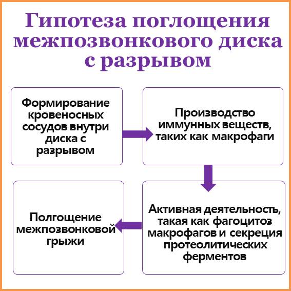 Межпозвонковый диск с разрывом быстрее поглощается То, что диск разорвался, не означает, что вам непременно требуется операция. Наоборот, существует много научных исследований, которые доказывают, что чем тяжелее степень разрыва диска, тем больше вероятность его поглощения. Гипотеза полгощения выступающего межпозвонкового диска с разрывом Хотя механизм поглощения еще точно не ясен, доминирующая гипотеза состоит в том, что диск тесно связан с иммунной системой: Формирование кровеносных сосудов внутри диска с разрывом Производство иммунных веществ, таких как макрофаги Полгощение межпозвонковой грыжи Активная деятельность, такая как фагоцитоз макрофагов и секреция протеолитических ферментов Согласно гипотезе, в конце концов, наш организм способен самостоятельно исцелить себя без хирургического вмешательства.