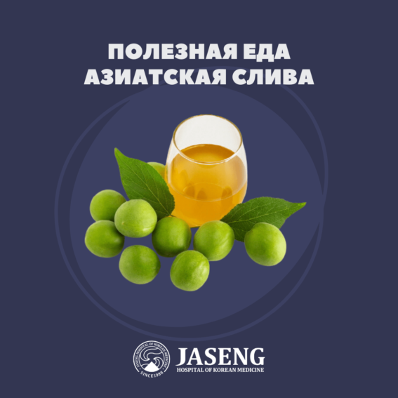 Полезные свойства азиатской сливы